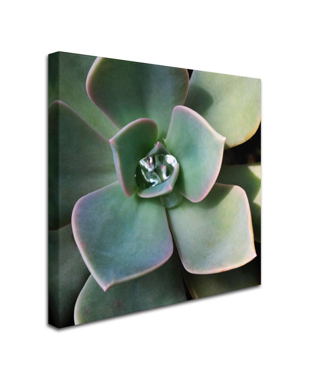 Canvas Art Z553