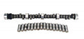 Hydraulic Flat Cam and Lifter Kit C860875