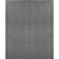 Solid French Double Doors with Wood Solid Panel Frame Trims W77907
