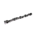 Solid Roller Camshaft for Small Block Chevy K9721