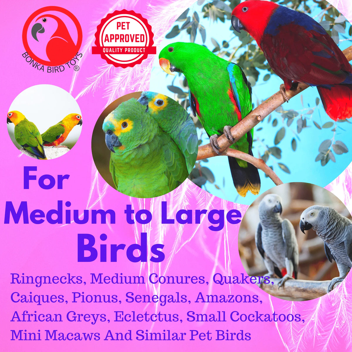 Red Clacker Bird Toy V22917