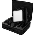 Bi-Color LED Kit with Grid and Travel Case D425858