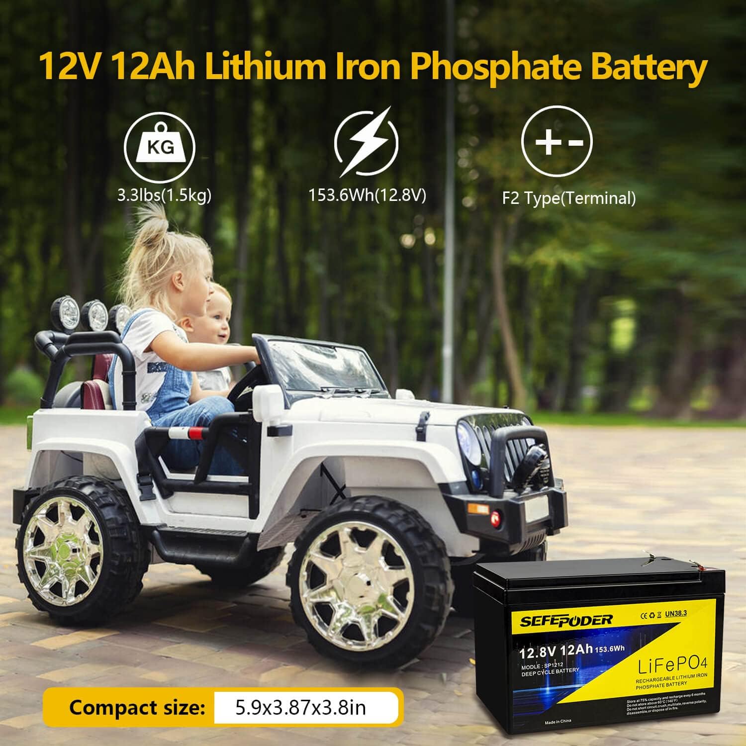 12V 8Ah Lifepo4 Lithium Ion Rechargeable Battery 2 Pack with Built-in 8A BMS P644559