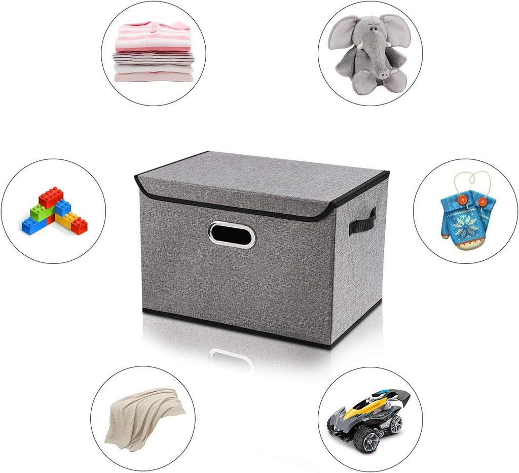 Collapsible Storage Boxes with Lids, Fabric Foldable Storage Container, Pack of 2 T2355