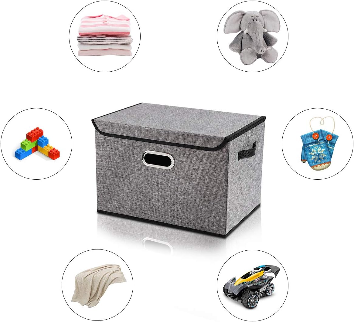 Collapsible Storage Boxes with Lids, Fabric Foldable Storage Container, Pack of 2 T2355