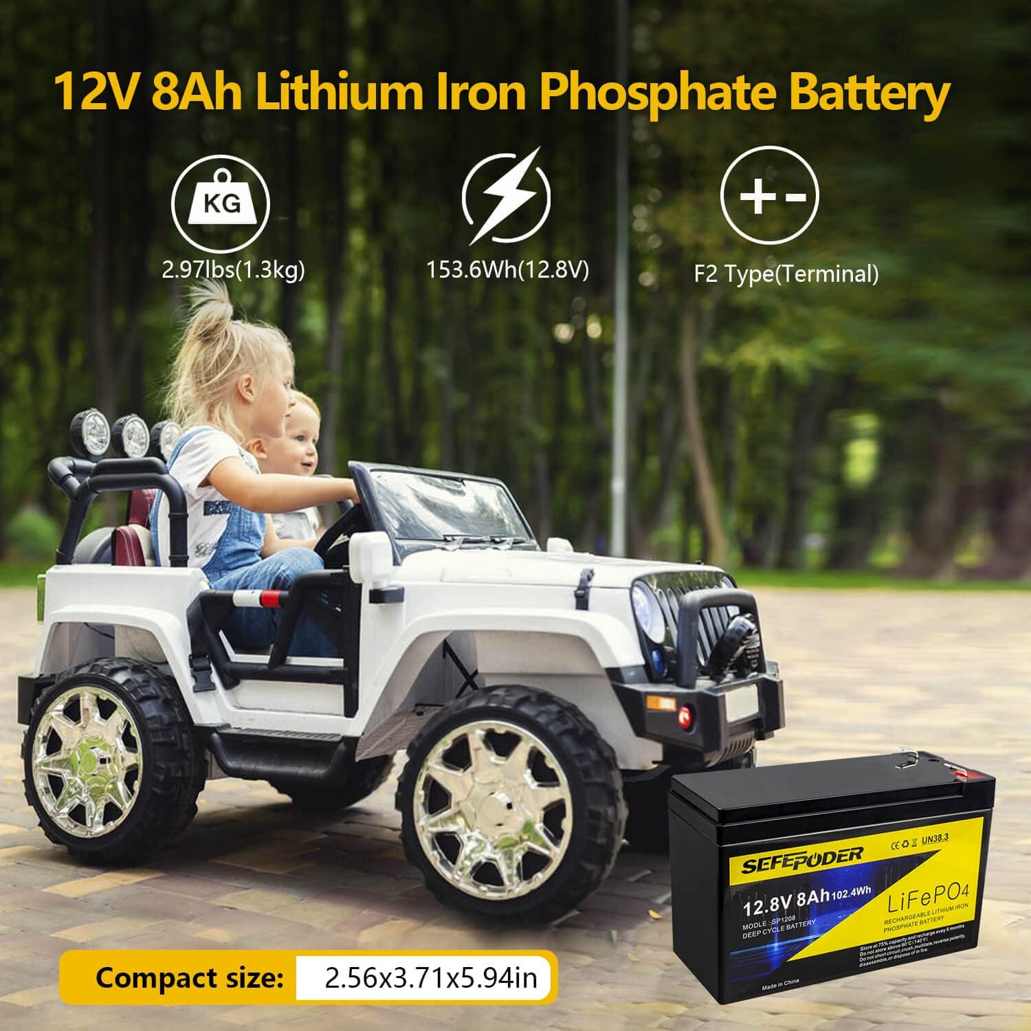 12V 8Ah Lifepo4 Lithium Ion Rechargeable Battery 2 Pack with Built-in 8A BMS P644559