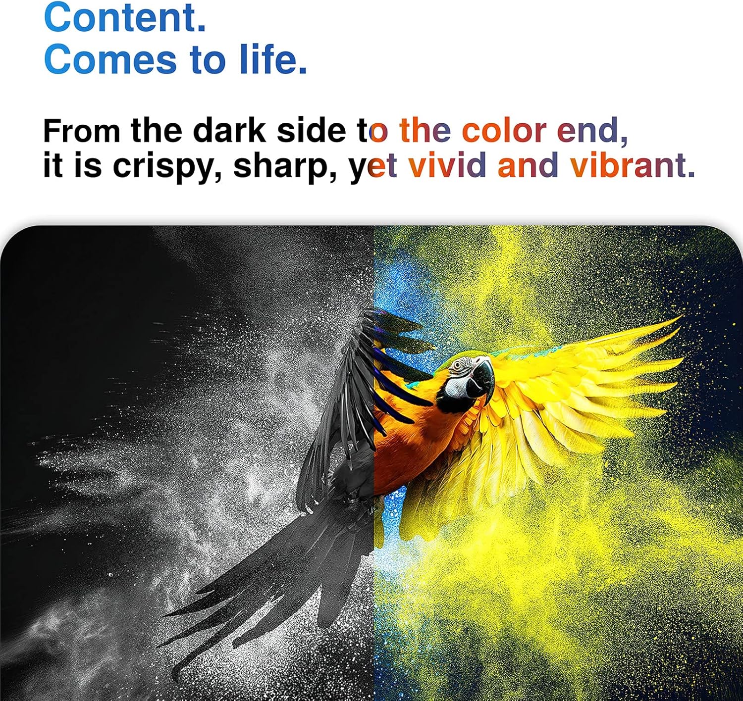 Black Ink Cartridges Combo Pack of 2 P470608