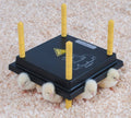 Chick Brooder S2984