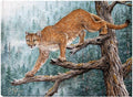 Canvas Art 32x24 X1922