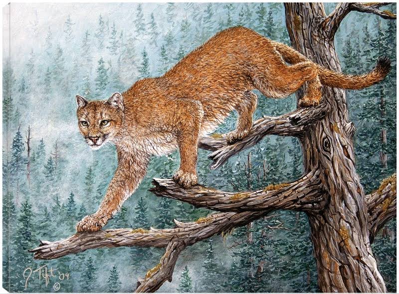 Canvas Art 32x24 X1922