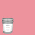 Satin Exterior Paint (5-Gallon) T12023