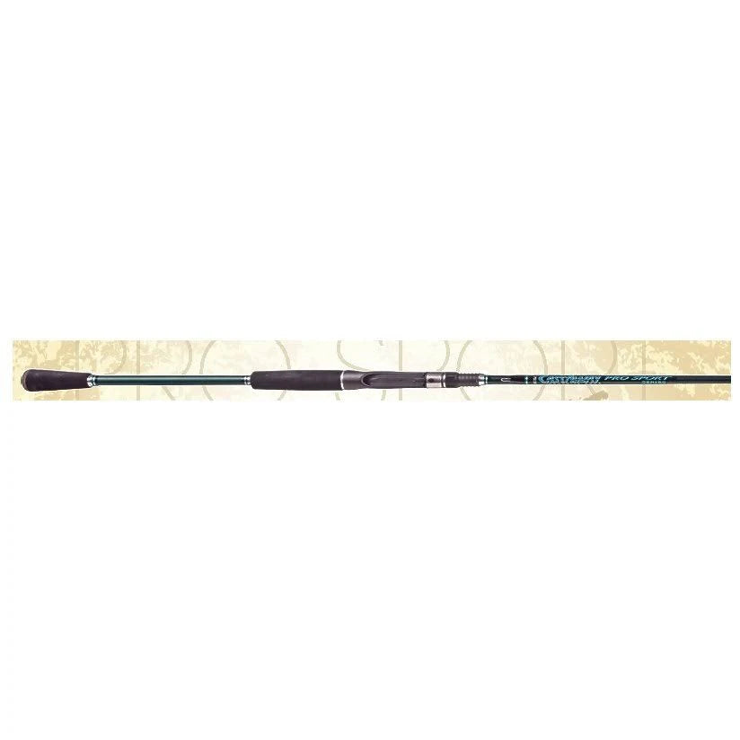 Saltwater Casting Rod T80937