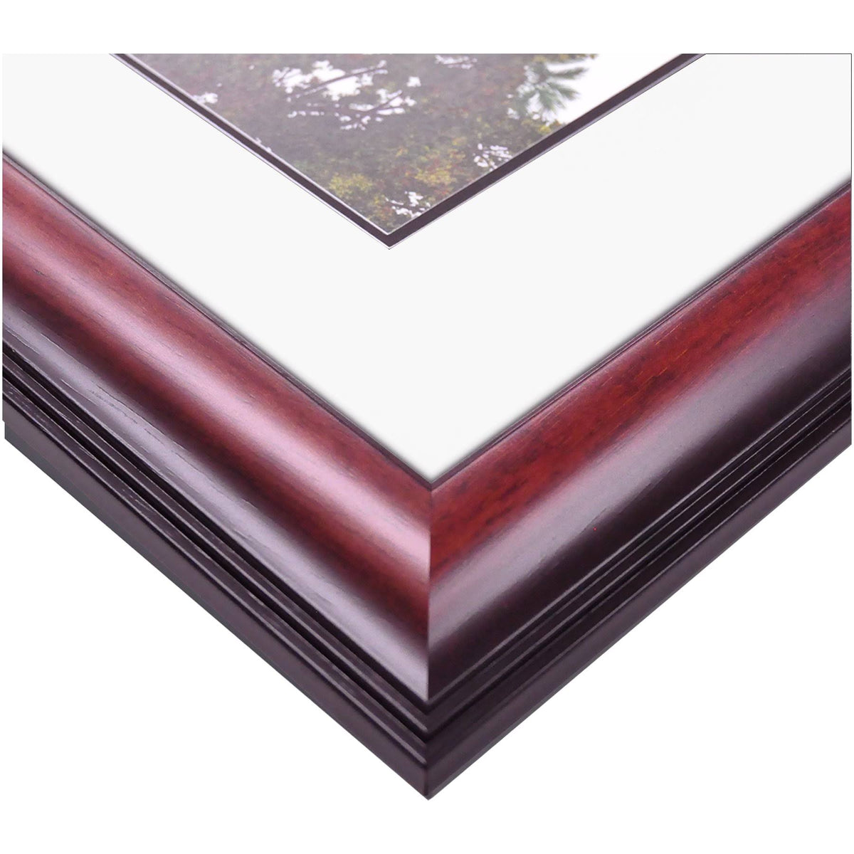 8.5x22 x 11x22 Diploma Frame K955791