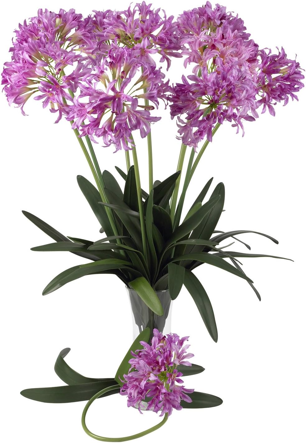 29 African Lily Stem (Set of 12) Yellow A90483