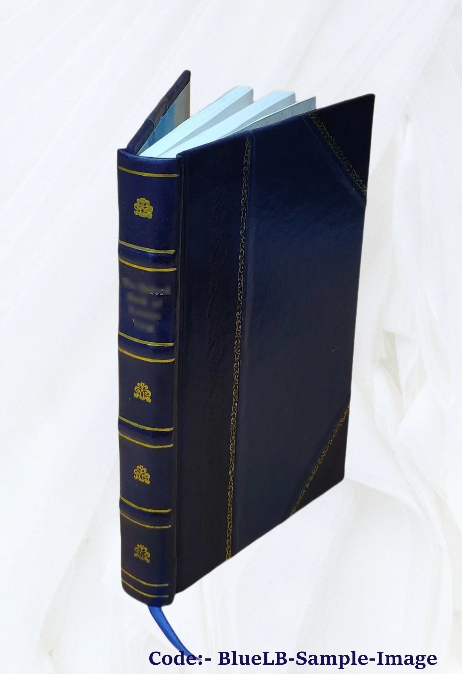 Leather Bound Book H46959