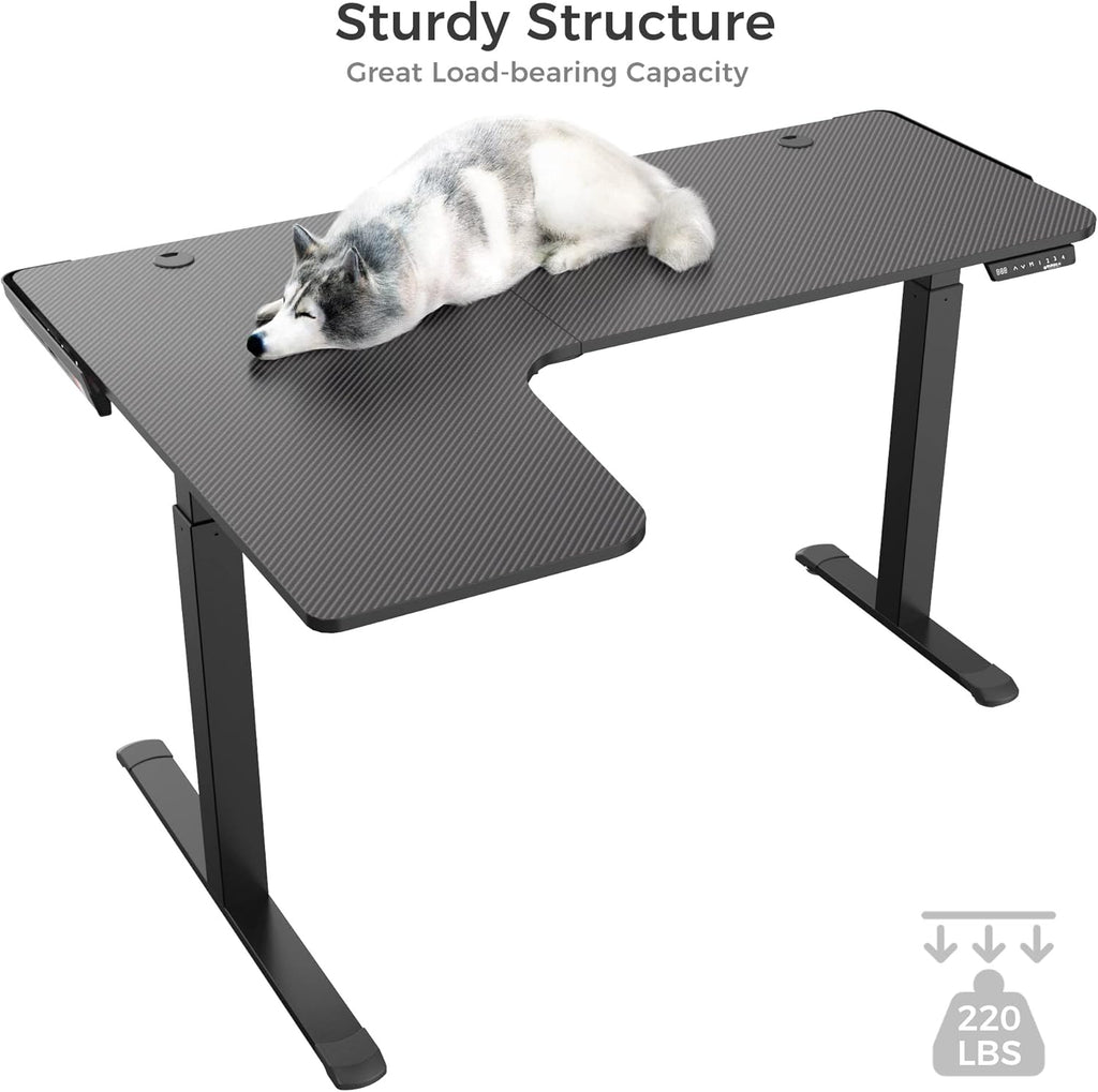 Dual Motor L Shaped Standing Desk, 61 inch Electric Height Adjustable Black Frame W796381