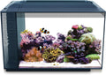 13.5 Gal. Saltwater Aquarium Kit X80384