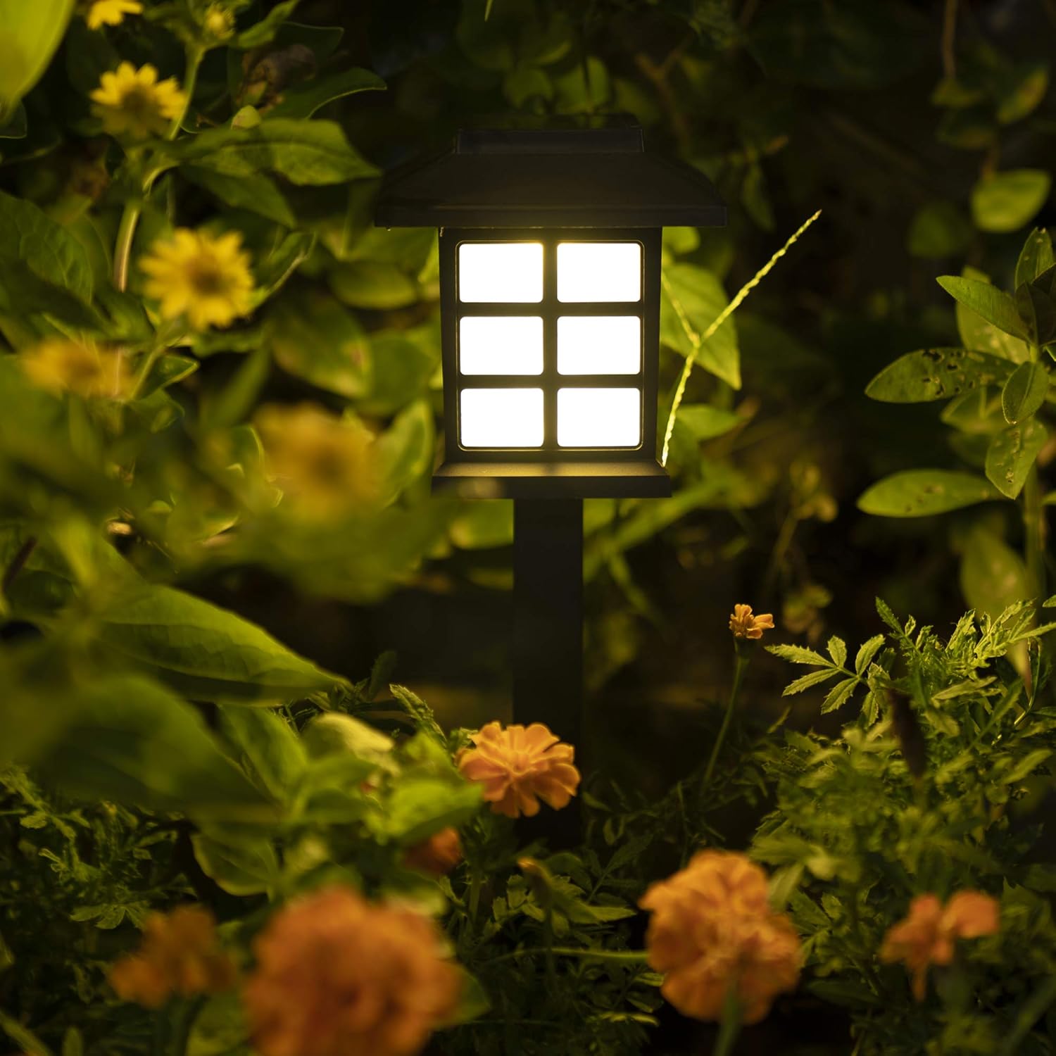 12 Pack Solar Path Lights Warm White W650752