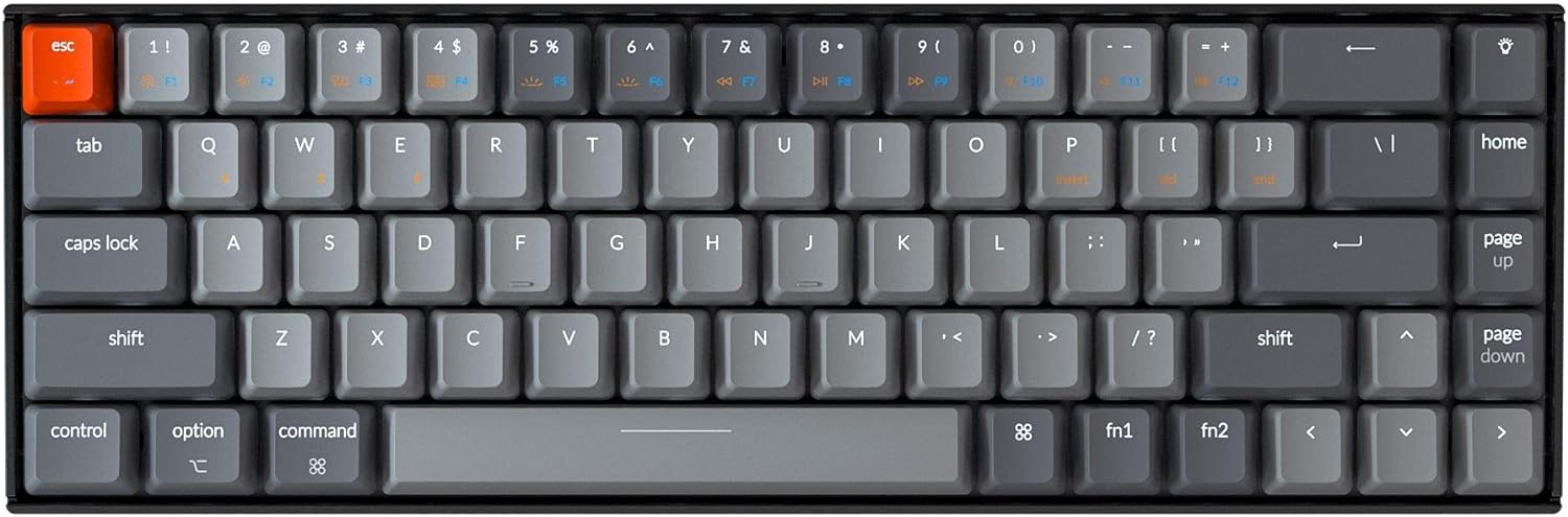 Keychron K6 Hot Swappable Wireless Bluetooth 5.1/Wired Mechanical Gaming Keyboard, 65% Compact 68-Key RGB LED Backlight/Gateron G Pro Blue Switch/Rechargeable Battery Compatible with Mac Windows P951521