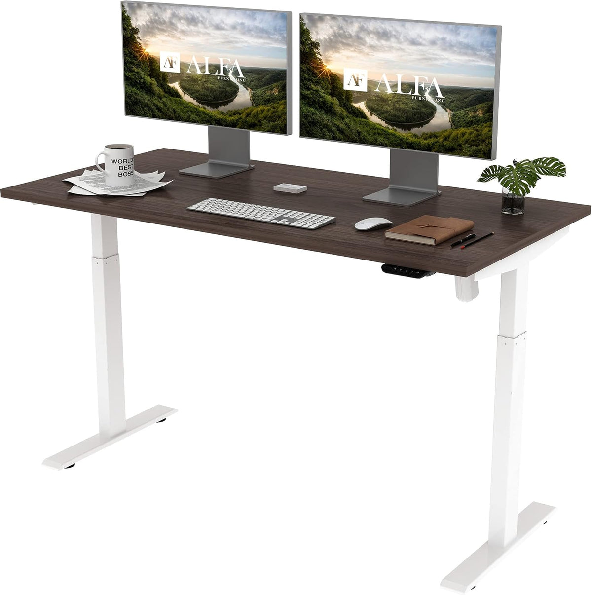 Height Adjustable Electric Sit Stand Desk O207591