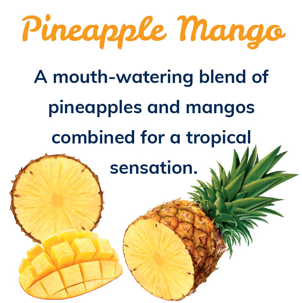 Pineapple Mango Sparkling Spring Water, 12 Pack, 42 oz Bottles A47041