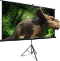 100 Inch Outdoor Projector Screen with Stand N58690