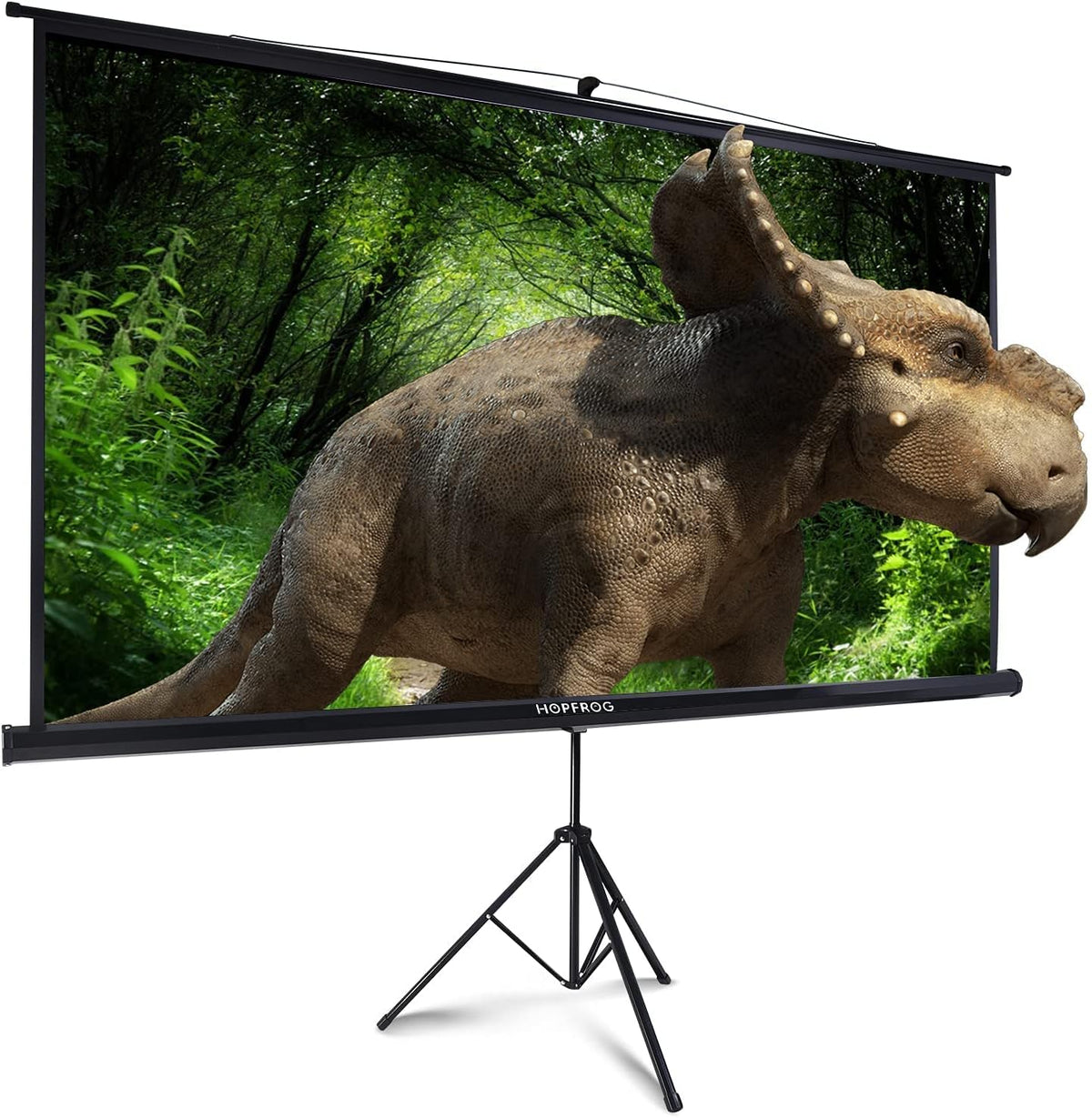 100 Inch Outdoor Projector Screen with Stand N58690