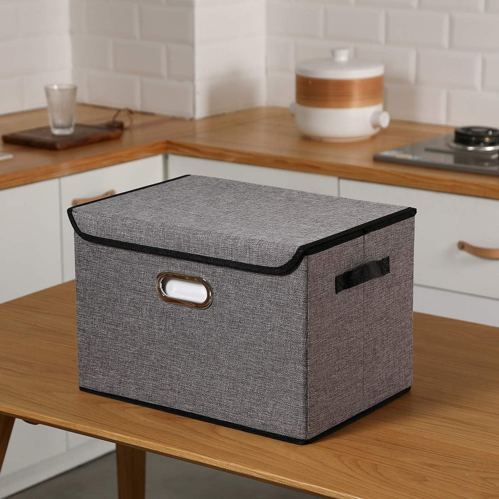 Collapsible Storage Boxes with Lids, Fabric Foldable Storage Container, Pack of 2 T2355