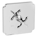 Satin Gold Balanced Pressure Shower Trim Plate with Lever Handle I100745