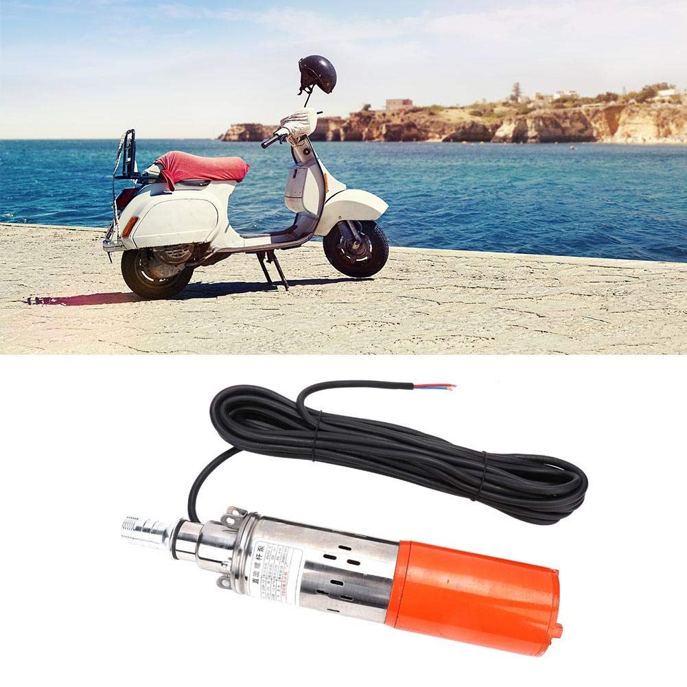 1-inch 12V Stainless Steel DC Screw Pump 260W S158